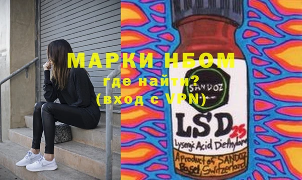 прущий лед Новозыбков