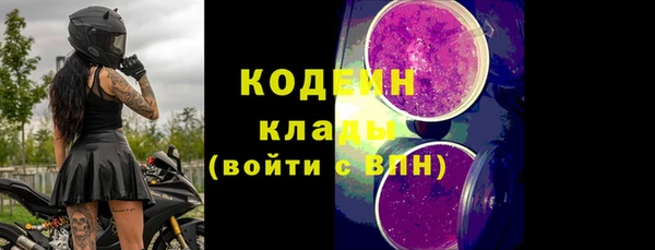 индика Новокубанск