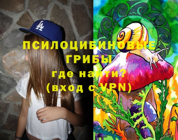 индика Новокубанск