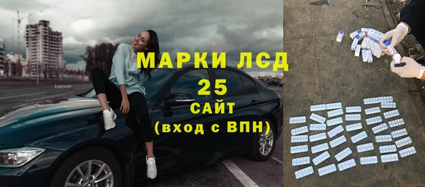 прущий лед Новозыбков