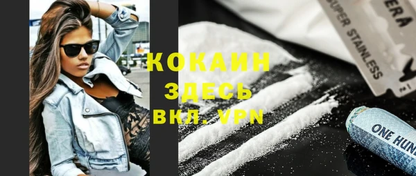 индика Новокубанск