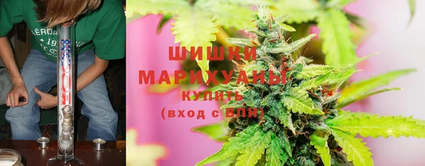 прущий лед Новозыбков