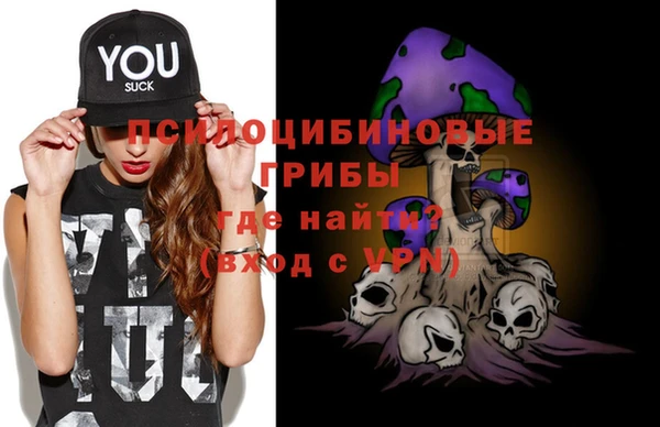 индика Новокубанск