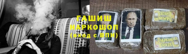 индика Новокубанск
