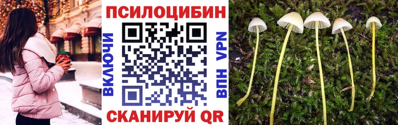 Галлюциногенные грибы Psilocybe  Троицк 